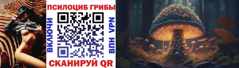 Галлюциногенные грибы Psilocybe  Голицыно 